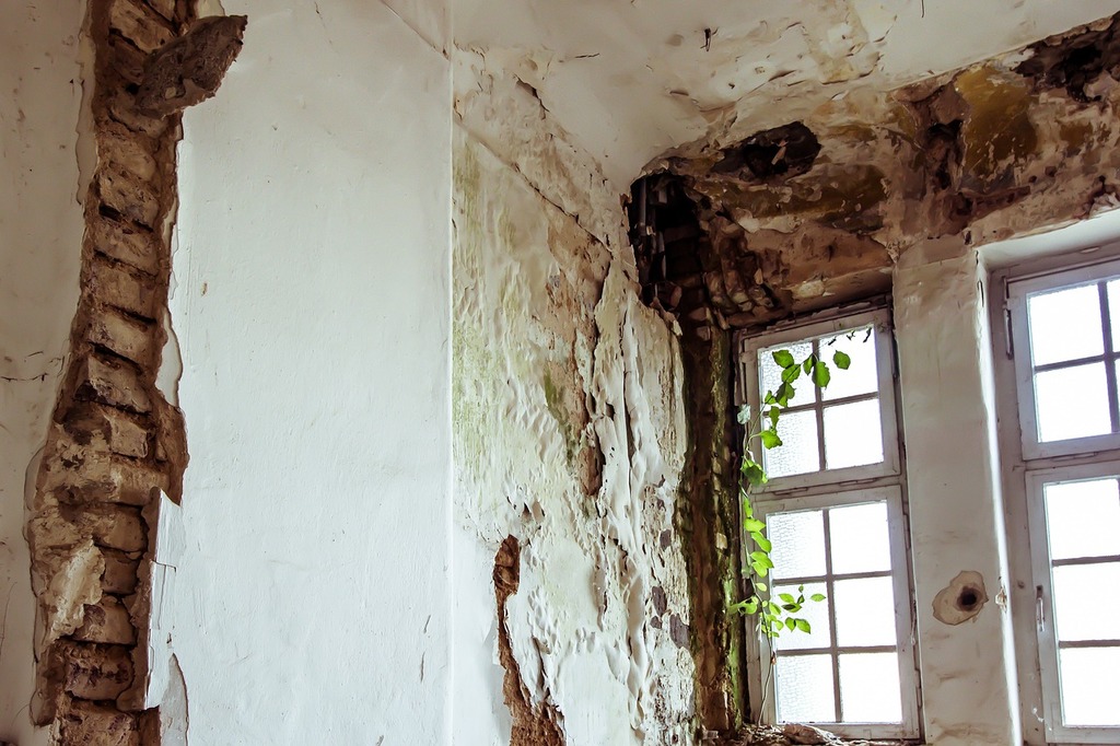 Why Older Buildings on Long Island Are More Prone to Mold Growth
