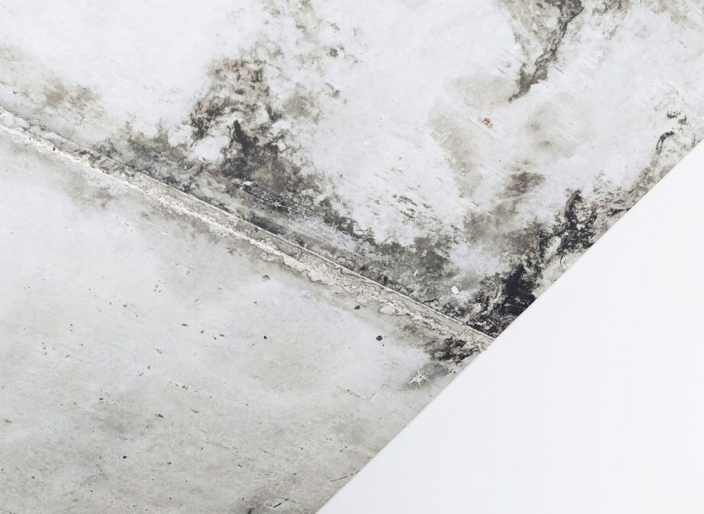 Home Infested With Mold