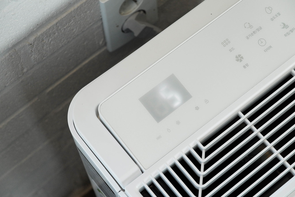 Restoring Air Health: How Commercial-Grade Dehumidifiers at My Long Island Mold Removal Fight Mold Growth at the Source