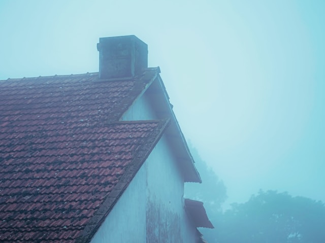What Long Island Homeowners Need to Know About Basement Mold Caused by High Humidity—and How Professional Dehumidification Solves It