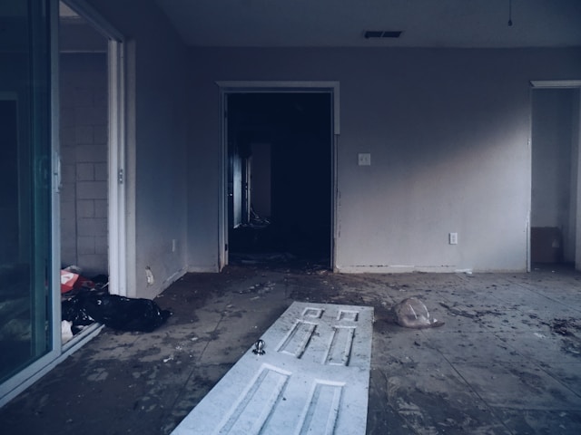 Inside a Real Mold Inspection: How My Long Island Mold Removal Identifies Hidden Attic Growth Using Moisture Mapping and Air Testing