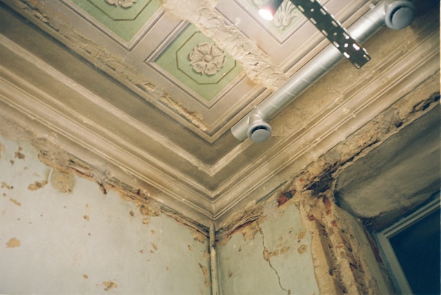 My Long Island Mold Removal: A Comprehensive Look at Mold Remediation Excellence in Cedarhurst, NY