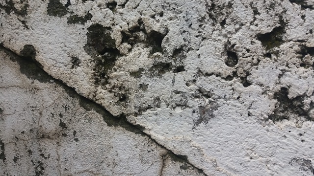 About Us | Long Island Mold Removal