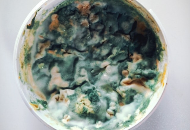 The Importance of Mold Testing and Inspection in Long Island Homes: How My Long Island Mold Removal Protects Your Health