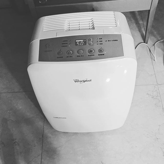 The Science Behind Dehumidification: How Long Island Mold Removal Prevents Future Infestations