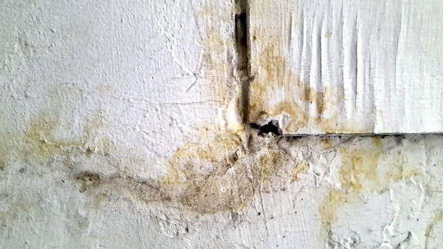 Hidden Mold in Your Home: Warning Signs, Health Risks, and Fast Removal Solutions
