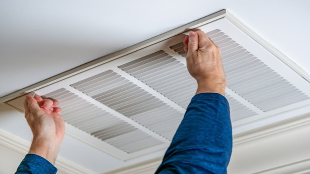 Air Duct Cleaning and Mold Prevention: What Every Long Island Homeowner Should Know