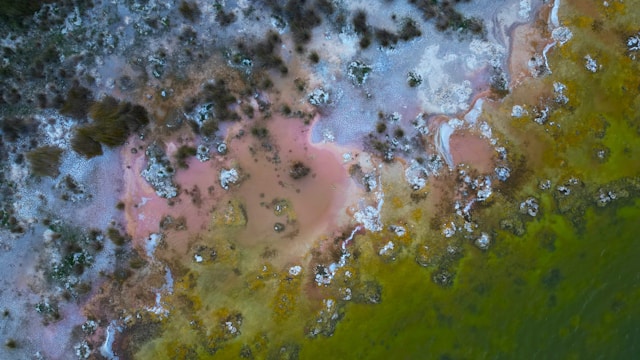 What Causes Mold Growth in Long Island Homes and How to Prevent It Year-Round