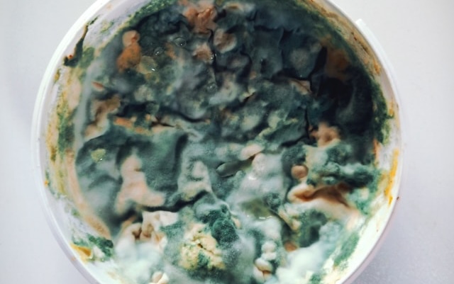 Why Mold Testing Is Essential for Long Island Homes After Water Damage